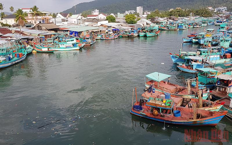 Sông Dương Đông đổ ra biển ở khu vực trung tâm đảo Phú Quốc đã ô nhiễm nhiều năm.