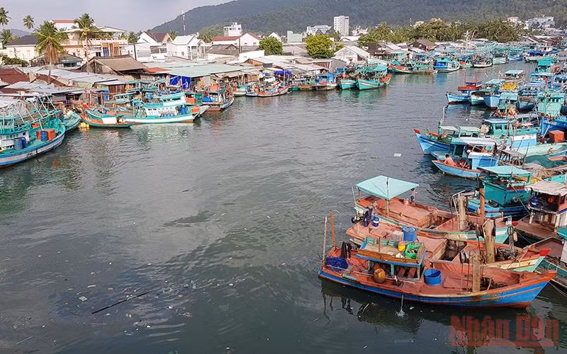 Sông Dương Đông đổ ra biển ở khu vực trung tâm đảo Phú Quốc đã ô nhiễm nhiều năm.