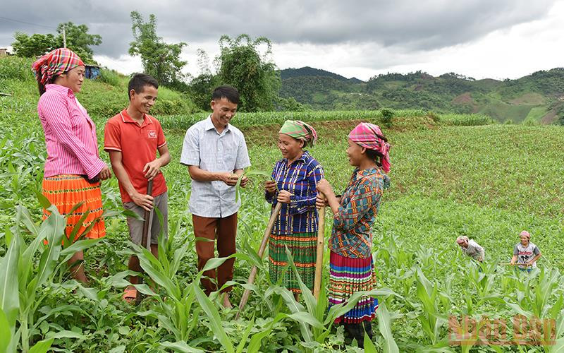 Hướng dẫn người dân bản Tà Han, xã Xuân Lạc, huyện Chợ Đồn, Bắc Kạn, trồng ngô năng suất cao. (Ảnh minh họa: Trần Hải)
