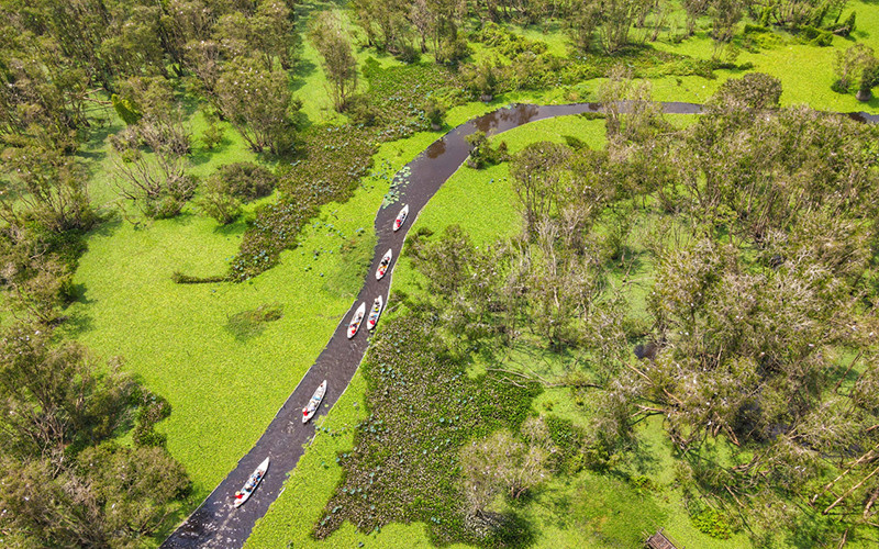 Du khách tham quan rừng tràm Trà Sư, xã Văn Giáo, huyện Tịnh Biên, tỉnh An Giang. (Ảnh Nguyễn Châu)