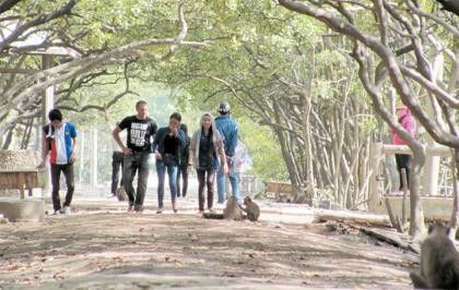 Du khách tham quan khu du lịch Ðảo Khỉ (Cần Giờ).