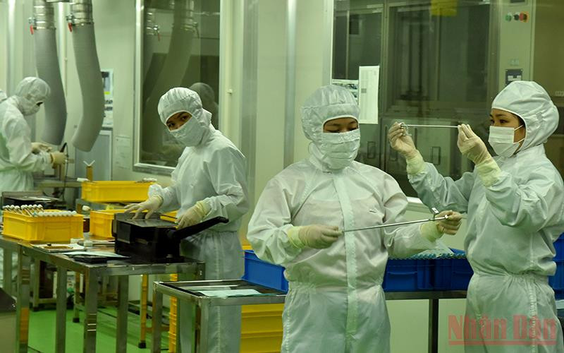 Ảnh minh họa: Nguyễn Đăng.