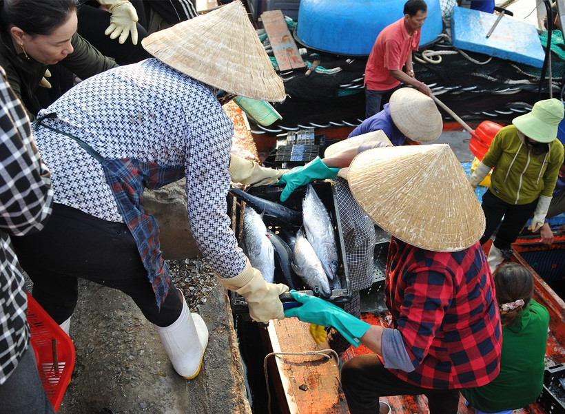 Công việc của những người phụ nữ mưu sinh nơi cảng cá Cửa Sót.