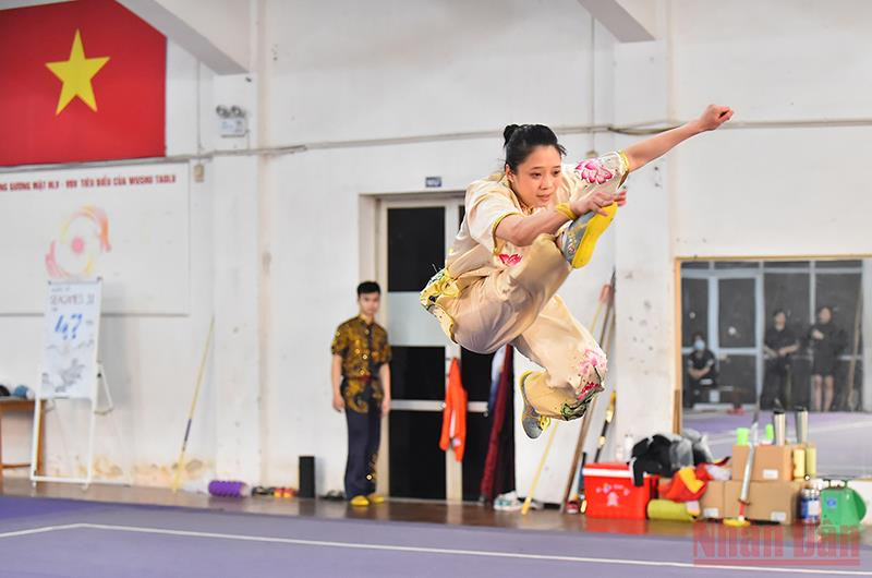 Wushu được chia thành hai nội dung là Wushu Sanshou (Võ thuật tán thủ), thiên về sức mạnh đòn đánh, tổ hợp đòn chiến và Wushu Taolu (Võ thuật biểu diễn), thiên về quyền pháp tay không hoặc có binh khí, chủ yếu tập trung về độ mềm dẻo của cơ thể.