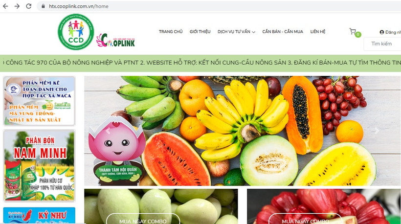Giao diện trang thông tin đăng ký kết nối cung cầu nông sản.