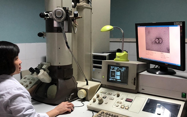 Nghiên cứu chủng mới của vi-rút corona tại Viện Vệ sinh dịch tễ T.Ư.