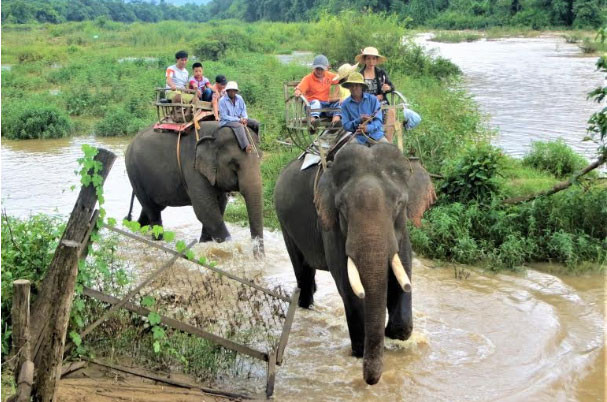 Du lịch cưỡi voi ở Trung tâm du lịch Buôn Đôn. 