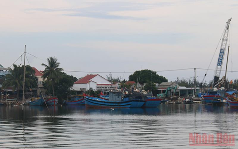 Nhiều tàu thuyền đã di chuyển vào nơi trú ẩn.