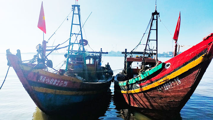 Bắt giữ hai tàu giã cào ở vùng biển Nghi Lộc.