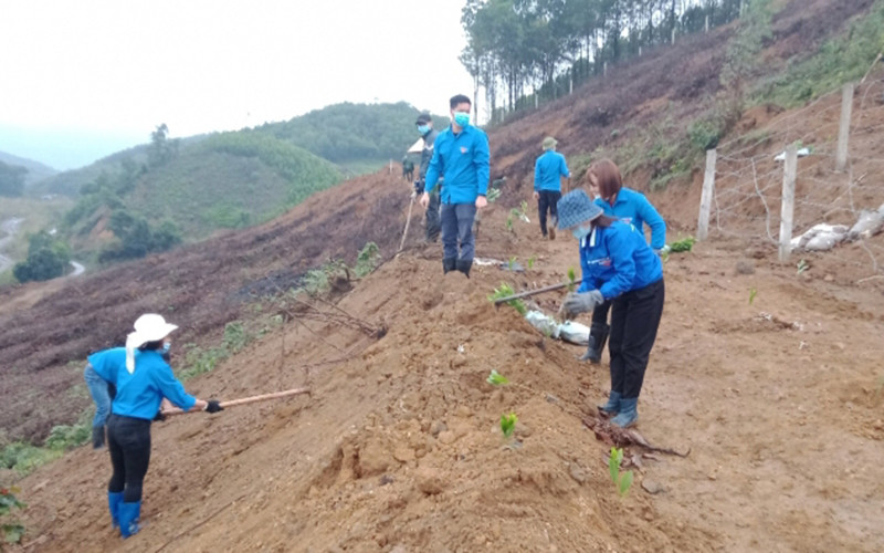 Trồng rừng phủ vành đai mỏ than Phấn Mễ.