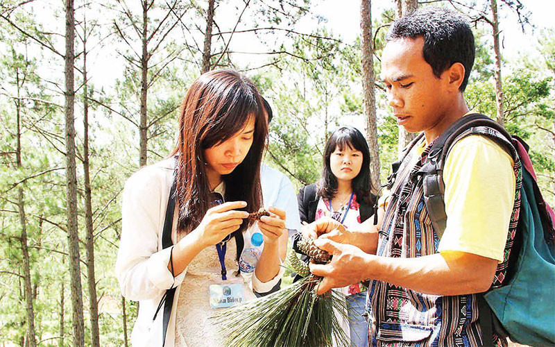 Một thanh niên dân tộc Cơ Ho tại huyện Lạc Dương (Lâm Ðồng) làm hướng dẫn viên du lịch trải nghiệm rừng. 