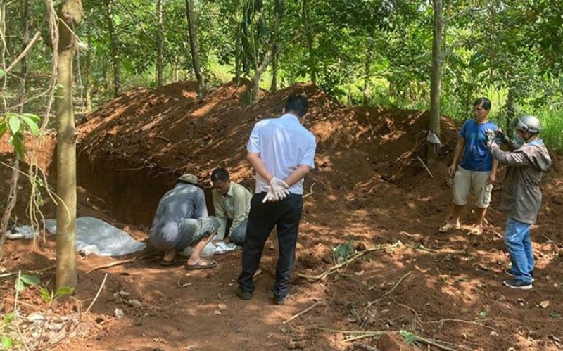 Hiện trường hố chôn 138 con lợn chết trong rẫy cao-su.