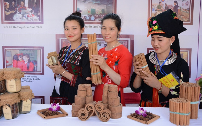 Giới thiệu sản phẩm quế xuất khẩu.