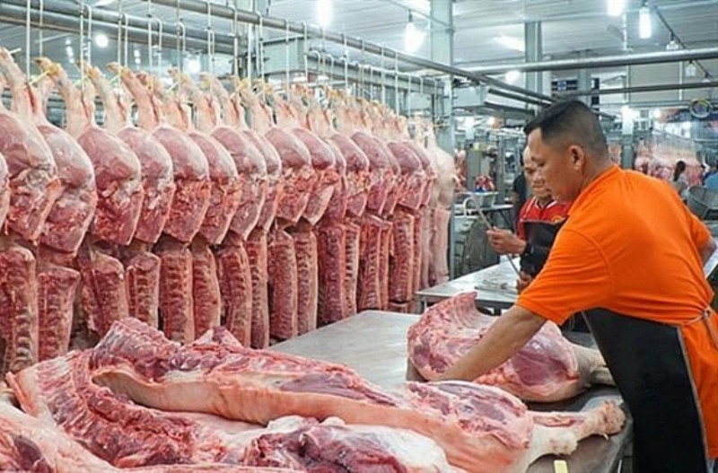 Giá lợn hơi những ngày gần đây đã tăng trở lại và dự báo sẽ còn tiếp tục tăng trong những ngày tới.