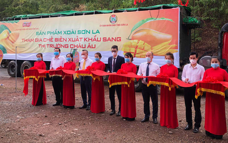 Cắt băng xuất khẩu xoài sang châu Âu.