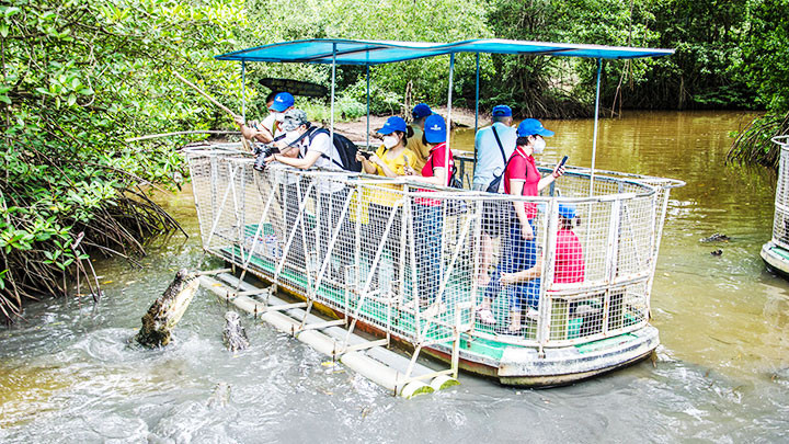 Về “ốc đảo xanh” Cần Giờ