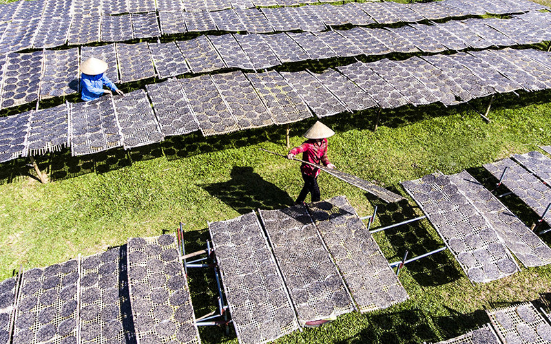 Sản xuất bánh đa cung cấp thị trường Tết tại làng nghề Đô Lương (huyện Đô Lương, tỉnh Nghệ An). Ảnh: NGUYỄN ĐĂNG