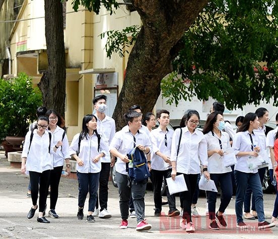 Ảnh minh hoạ: THUỶ NGUYÊN