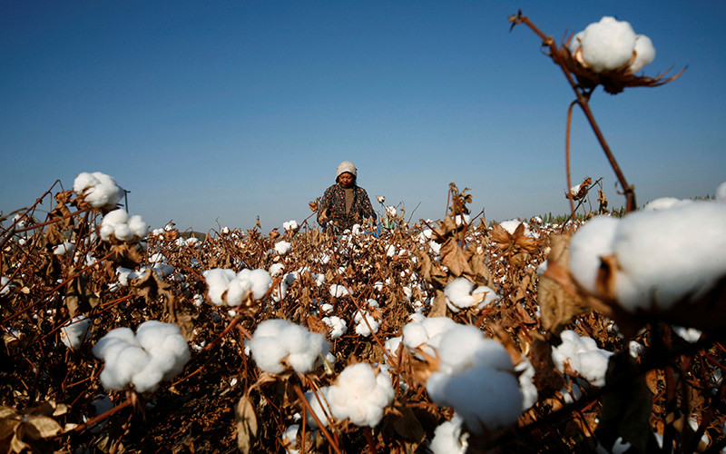 Ảnh minh họa. (Ảnh: Reuters)
