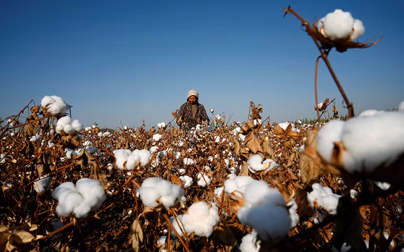 Ảnh minh họa. (Ảnh: Reuters)
