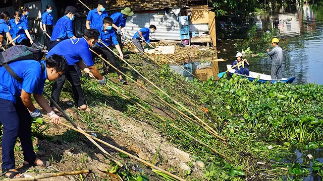 Tuổi trẻ TP Hồ Chí Minh luôn có nhiều hoạt động tích cực bảo vệ môi trường.