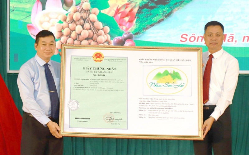 Cục Sở hữu trí tuệ trao Giấy chứng nhận đăng ký nhãn hiệu “nhãn Sơn La” cho tỉnh Sơn La.