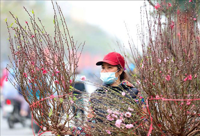 Dịp Tết Nguyên đán Tân Sửu, Bắc Bộ sáng có sương mù, trưa chiều trời nắng. (Ảnh minh họa)