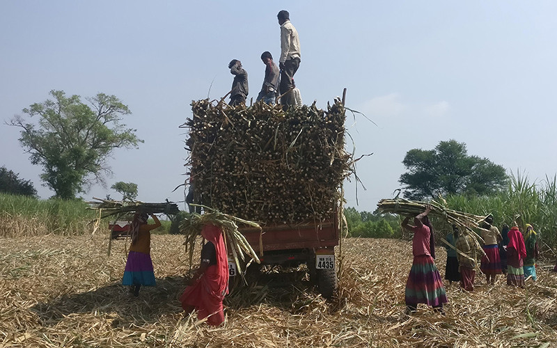 Ảnh minh họa. (Ảnh: Reuters)