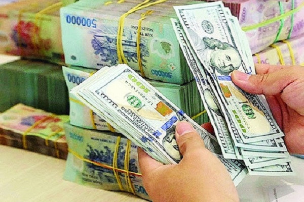 Ảnh minh họa. (diendoandoanhnghiep.vn)