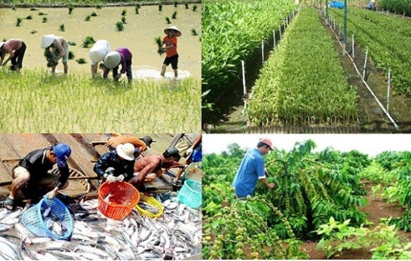 Nông nghiệp là một trong những ngành bị ảnh hưởng nghiêm trọng bởi đại dịch Covid-19.