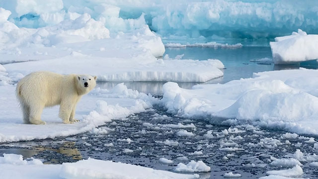 Trái đất ấm lên khiến tốc độ băng tan ngày một nhanh. Ảnh: GETTY IMAGES
