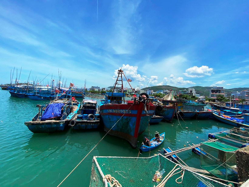 Phường Phổ Thạnh có cảng cá Sa Huỳnh là nơi có số lượng tàu thuyền nhiều nhất thị xã Đức Phổ. Hiện có hơn 1.300 tàu thuyền với 7.550 lao động ; trong đó 1.079 tàu đánh bắt xa bờ. Hiện 350 tàu đang neo cập cảng, không ra khơi thực hiện phong tỏa, cách ly theo Chỉ thị 16/CT-TTg.