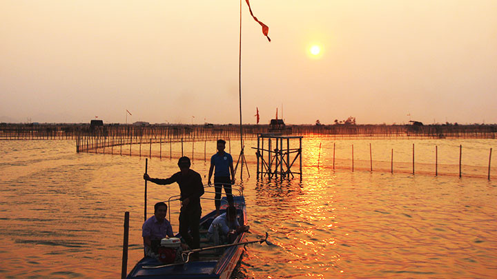 Bình yên đầm Chuồn