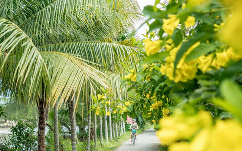 Một con đường tại Cần Thơ. Ảnh: TTXVN