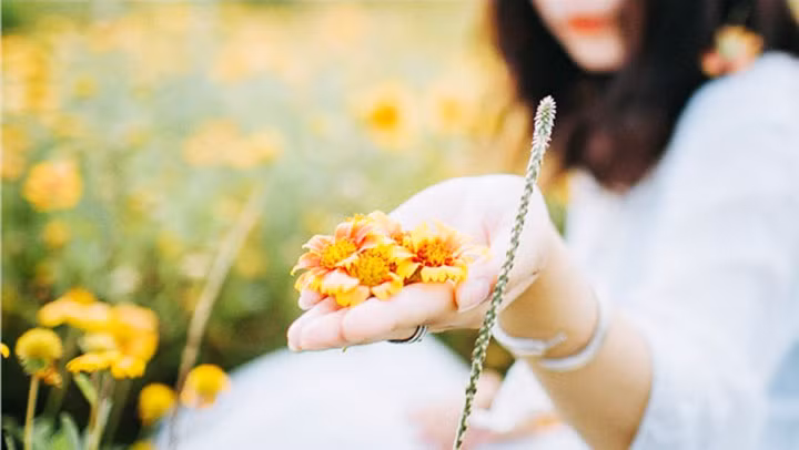 Ảnh: HOÀNG ĐẠT