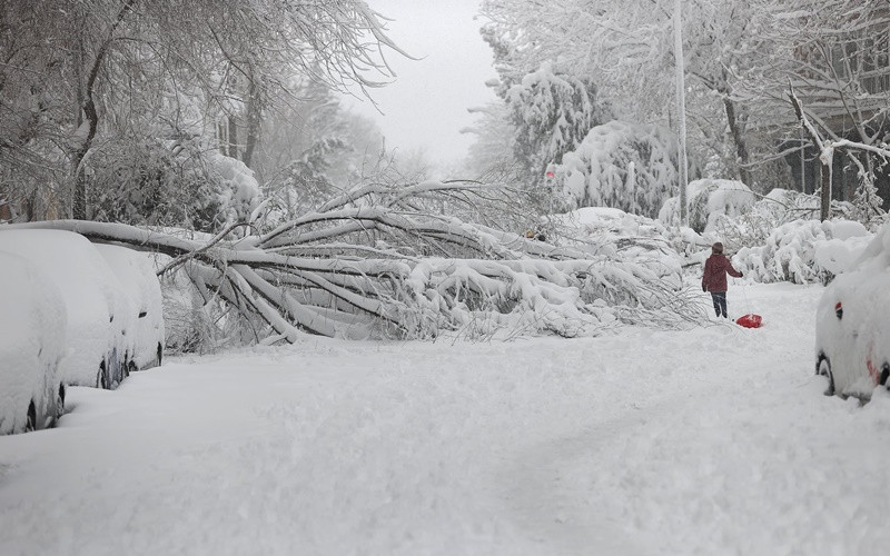 Bão tuyết kỷ lục nhuộm trắng Tây Ban Nha