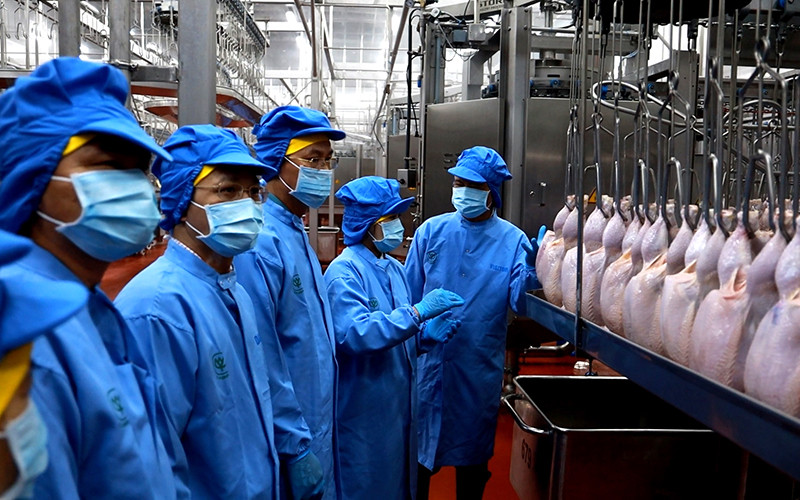 Chế biến thịt gà xuất khẩu của Công ty cổ phần CPV Food Bình Phước, huyện Chơn Thành, tỉnh Bình Phước. (Ảnh HỒ BÁ SƠN)