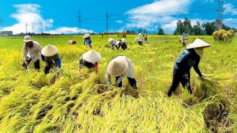 Đã đến lúc Bộ Nông nghiệp và Phát triển nông thôn phải bắt tay ngay vào chuyển đổi số trong lĩnh vực nông nghiệp. 