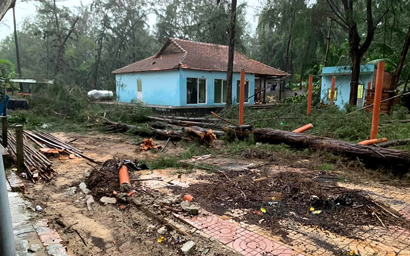 Số cây phi lao bị chặt hạ nằm trong Khu du lịch Cam Bình, thị xã La Gi (Bình Thuận) do Công ty TNHH Du lịch Cam Bình làm chủ đầu tư.