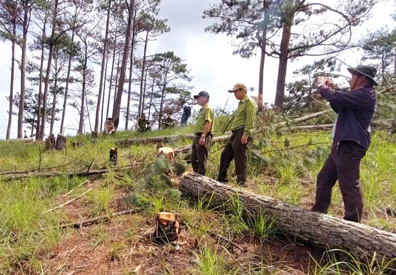 Cơ quan chức năng thành phố Đà Lạt kiểm tra hiện trường vụ việc.