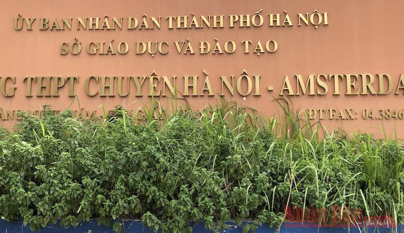 Trường Hà Nội-Amsterdam tuyển 180 chỉ tiêu vào lớp 6