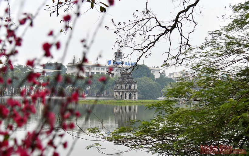 Trong tiết trời se lạnh, những cánh đào Xuân bừng nở khoe sắc bên Hồ Hoàn Kiếm.