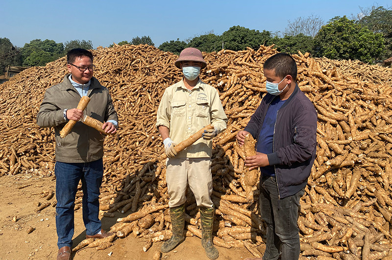 (Ảnh: NGUYỄN THANH SƠN)