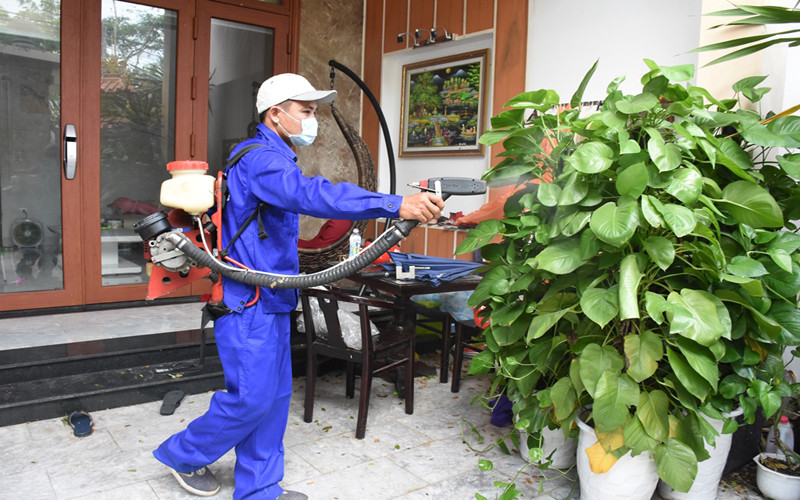 Đà Nẵng tăng cường phòng, chống bệnh sốt xuất huyết.