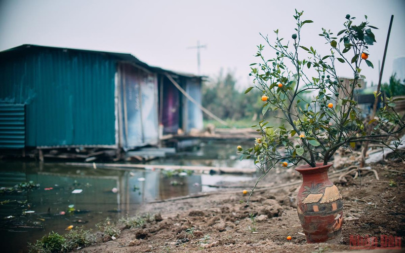 Những ngày cận Tết ở “xóm nhà phao”