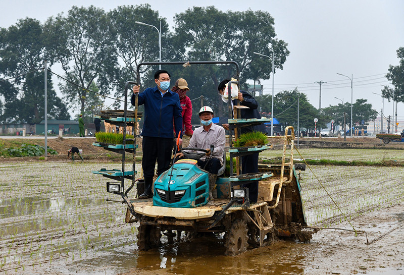 Đồng chí Vương Đình Huệ, Ủy viên Bộ Chính trị, Bí thư Thành ủy lên máy cấy đi cấy cùng bà con nông dân tại cánh đồng xã Dị Nậu, huyện Thạch Thất. Ảnh: DUY LINH