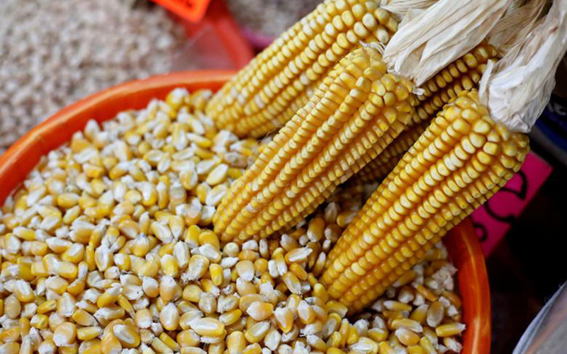 Ảnh minh họa. (Ảnh: Reuters)