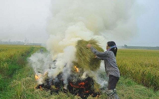 Đốt rơm rạ nhiều nơi ở miền bác gây ô nhiễm không khí.