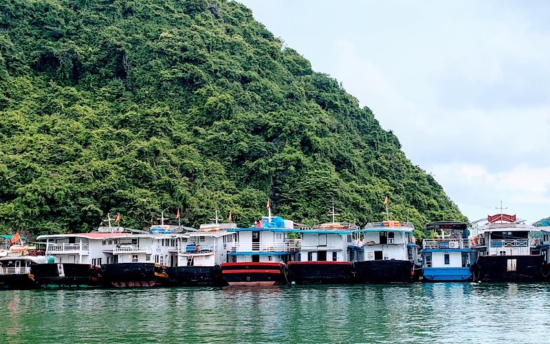 Tàu thuyền về neo đậu tránh trú bão trong vịnh Cát Bà.