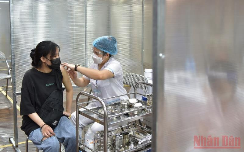 Ảnh minh họa. (Duy Linh/NDĐT)